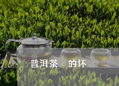 普洱茶 的坏/2023042726254